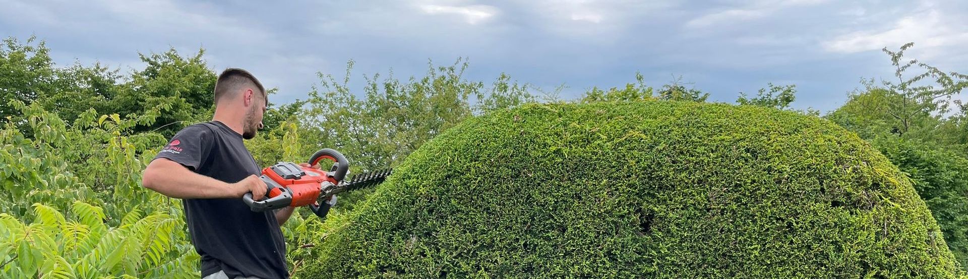 Hedge Shaping/Trimming