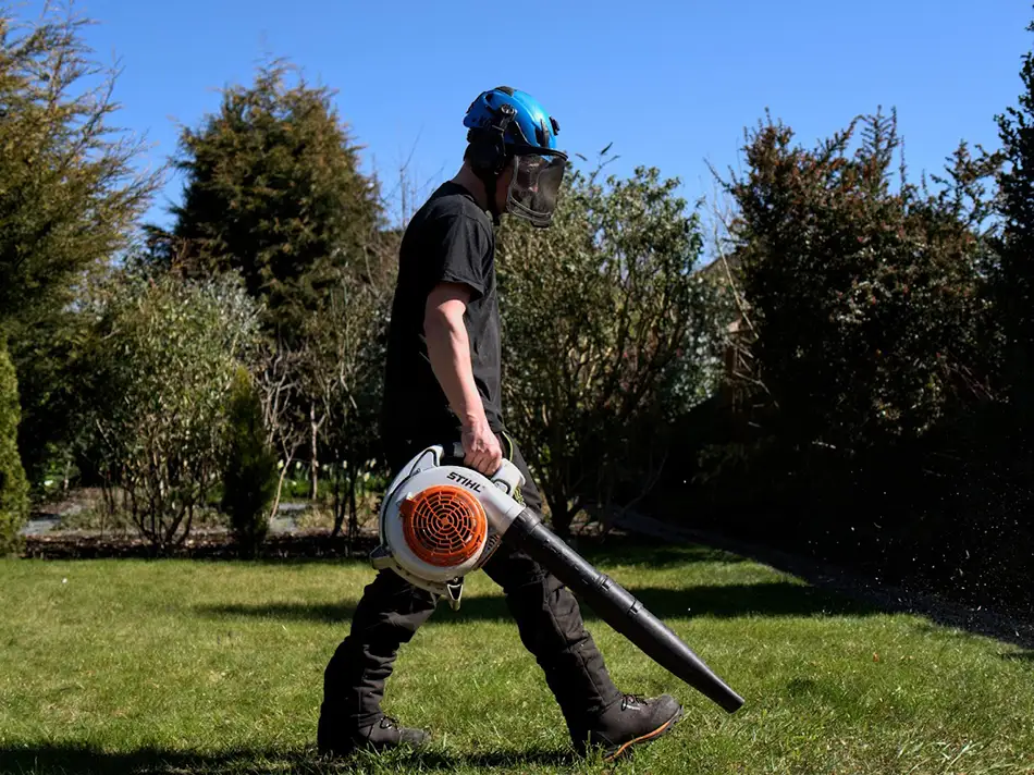Bird nesting season in the UK, can you cut your hedges? Leaf blower work