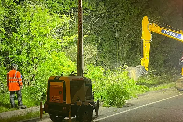 Emergency Tree Work