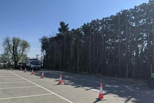 A row of trees cordoned off